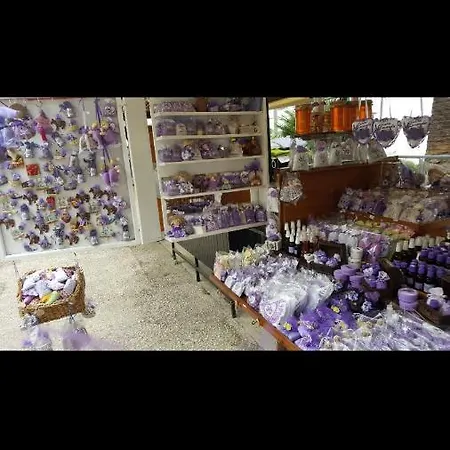 Barko And Hvar Town