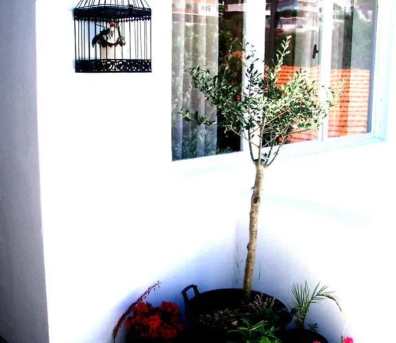 Barko And * 흐바르